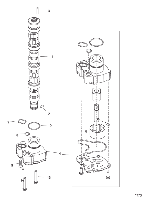 Camshaft and Oil Pump