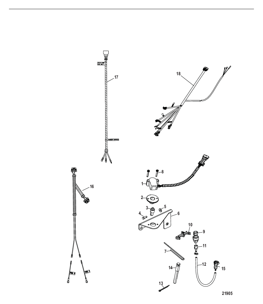 Sensor and Harnesses