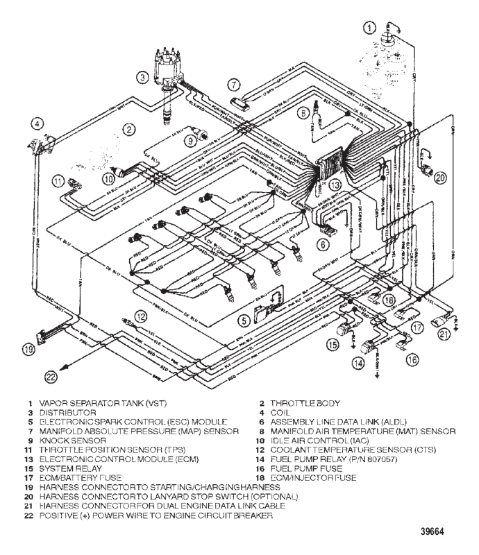 ЭЛЕКТРОПРОВОДКА (EFI)