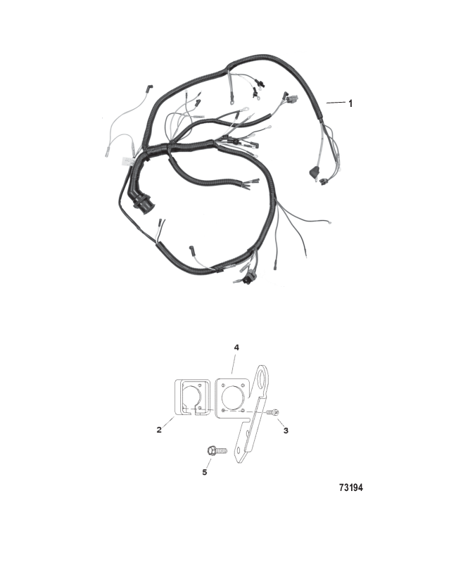 Wiring Harness And Electrical Components